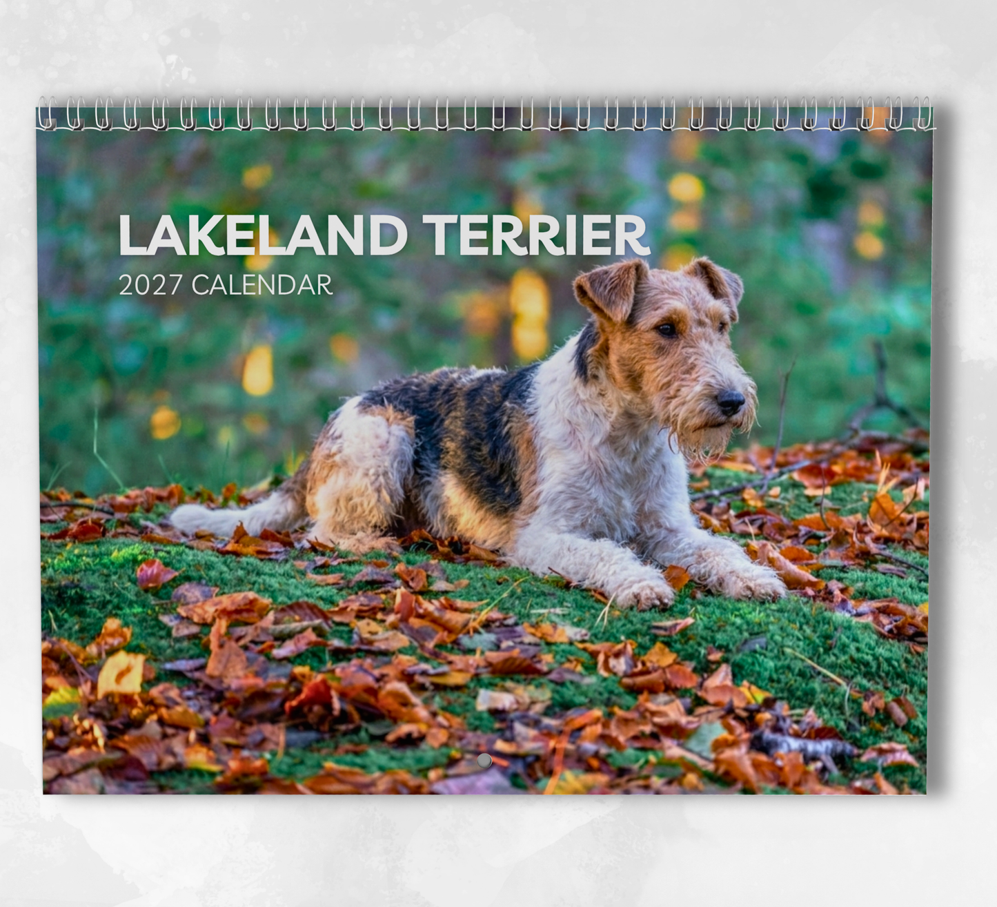 Lakeland Terrier Calendar 2027
