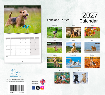 Lakeland Terrier Calendar 2027