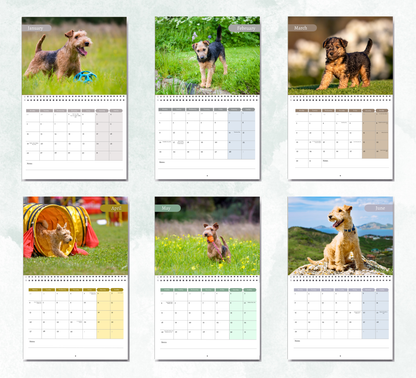 Lakeland Terrier Calendar 2027