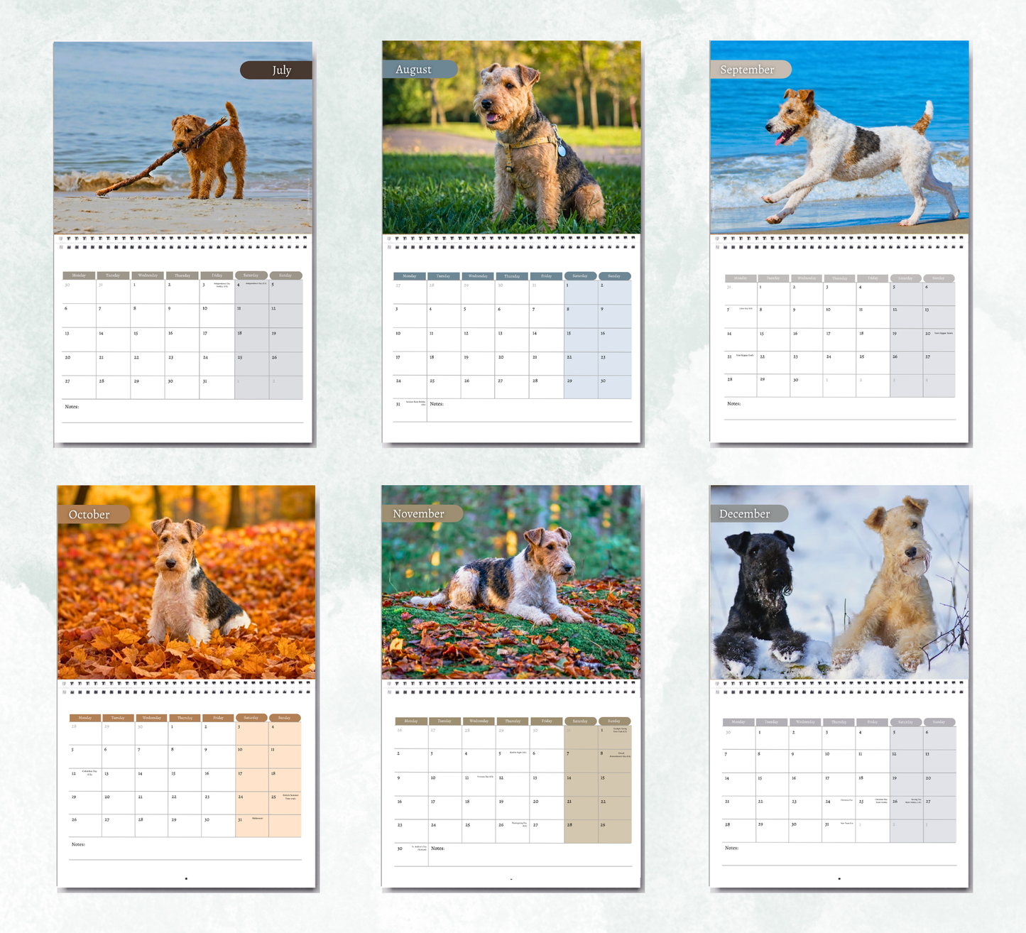 Lakeland Terrier Calendar 2027