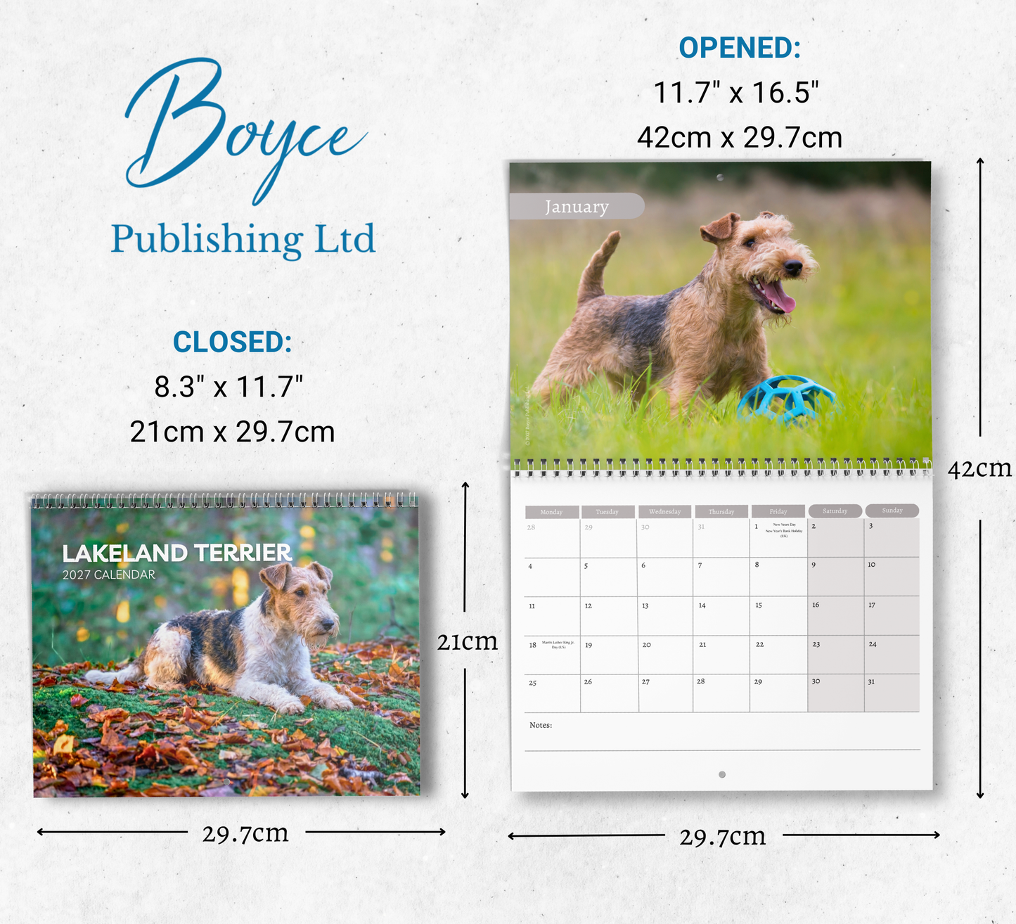 Lakeland Terrier Calendar 2027