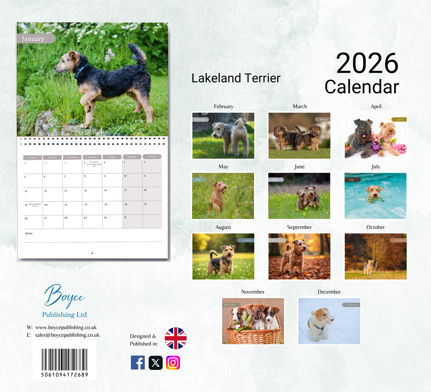 Lakeland Terrier Calendar 2026