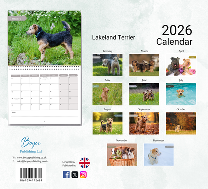 Lakeland Terrier Calendar 2026