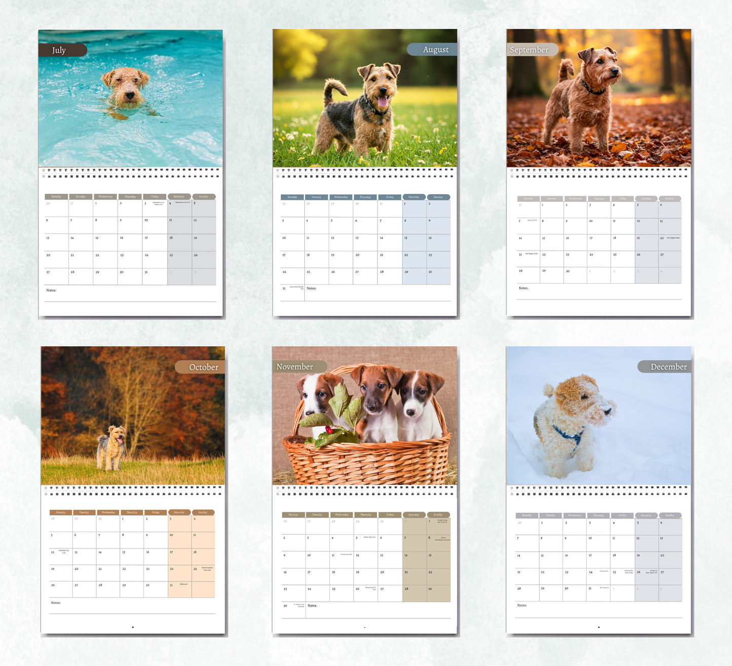 Lakeland Terrier Calendar 2026