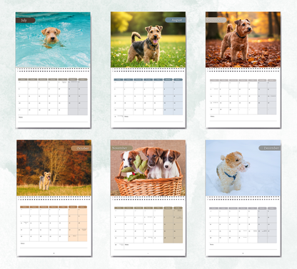 Lakeland Terrier Calendar 2026
