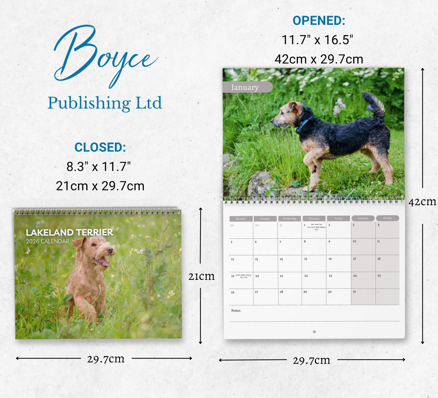 Lakeland Terrier Calendar 2026