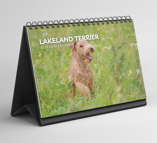 Lakeland Terrier Desk Calendar 2026-2027