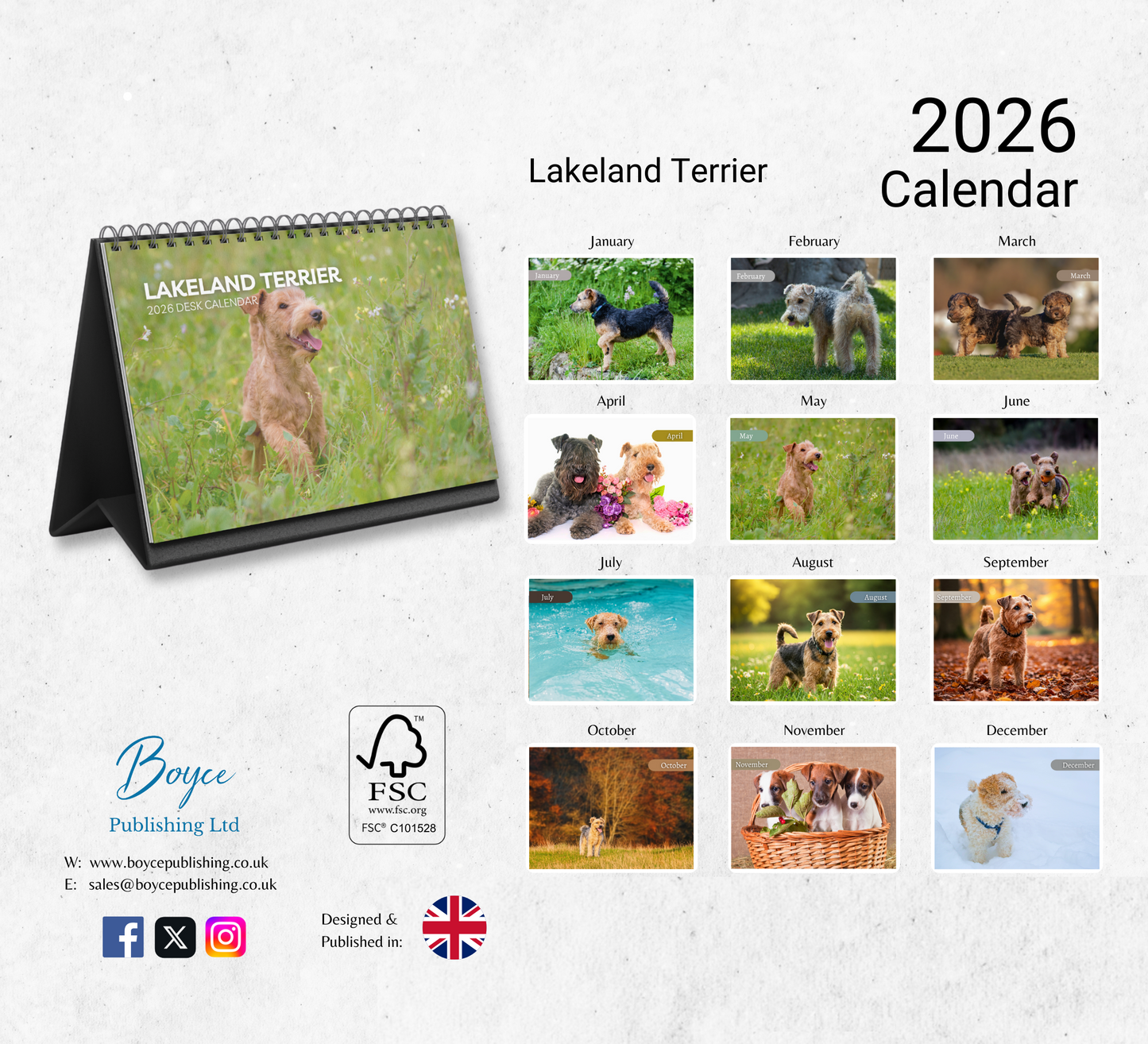 Lakeland Terrier Desk Calendar 2026-2027