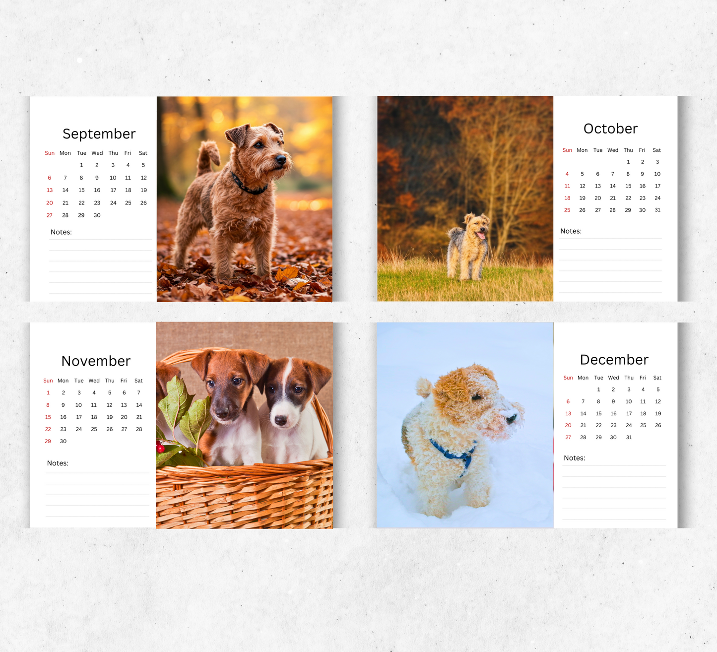 Lakeland Terrier Desk Calendar 2026-2027