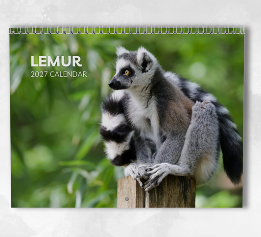 Lemur Calendar 2027