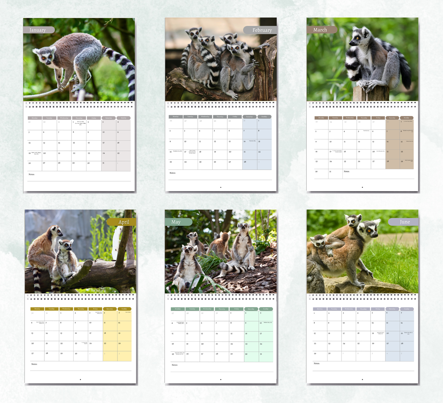 Lemur Calendar 2027