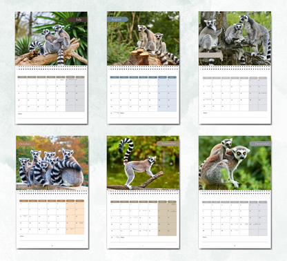Lemur Calendar 2027