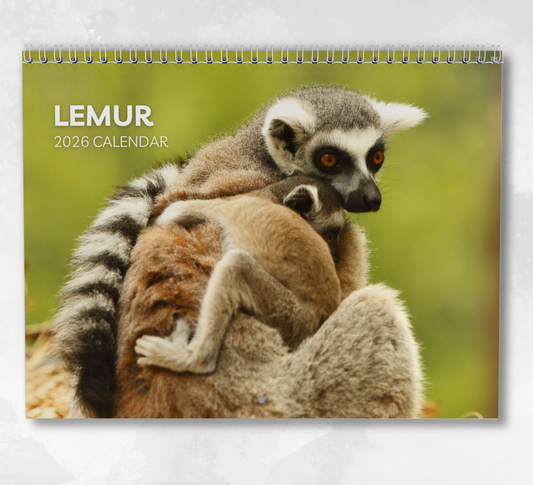 Lemur Calendar 2026