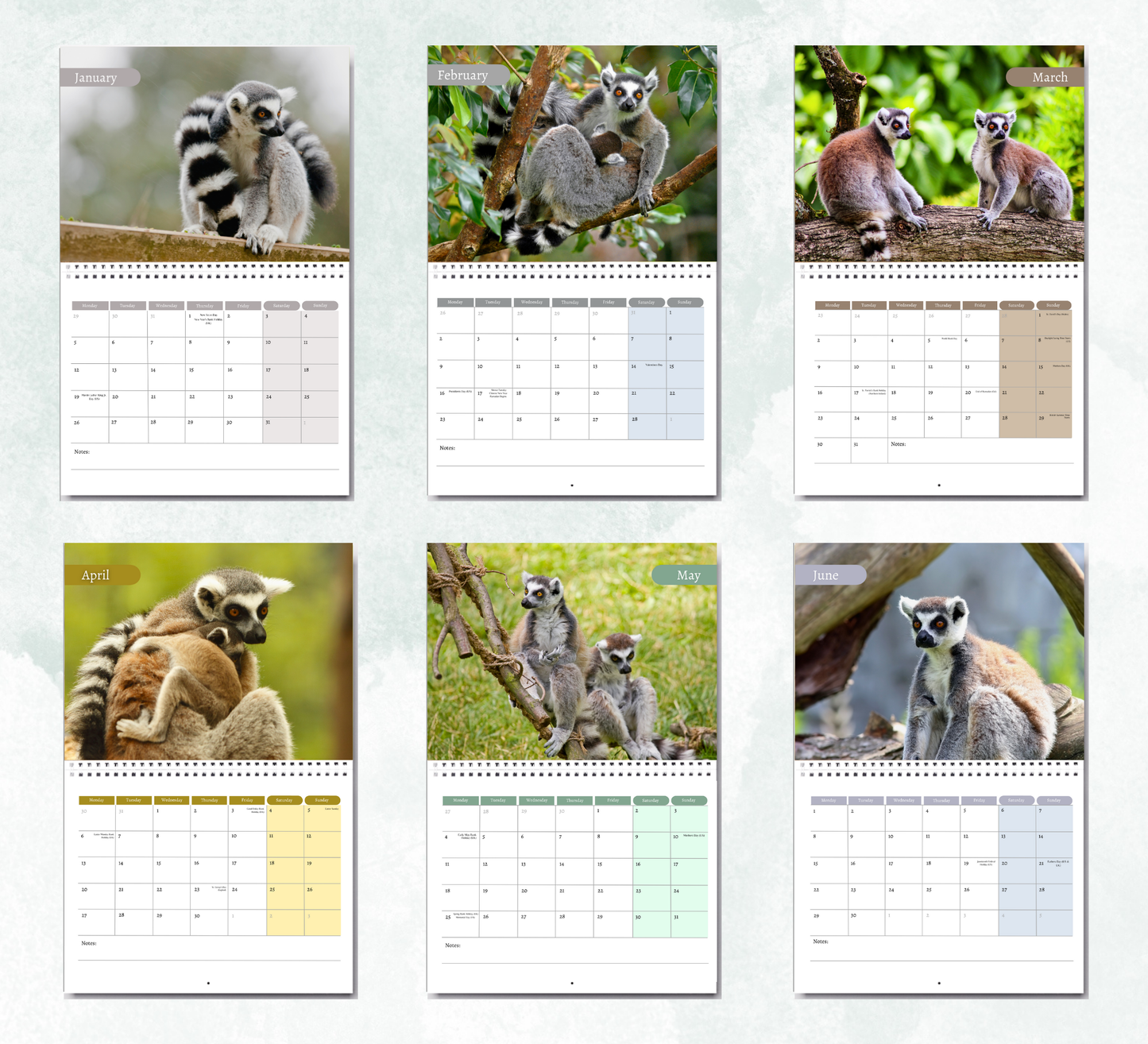 Lemur Calendar 2026