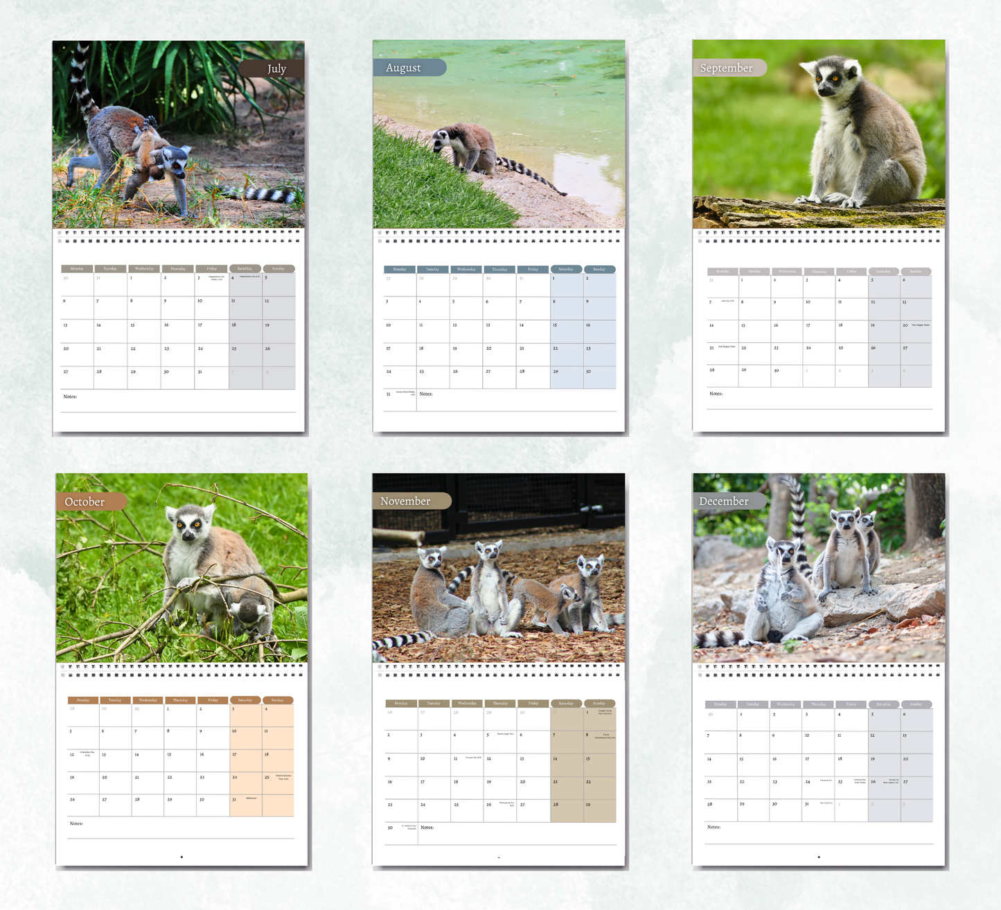 Lemur Calendar 2026