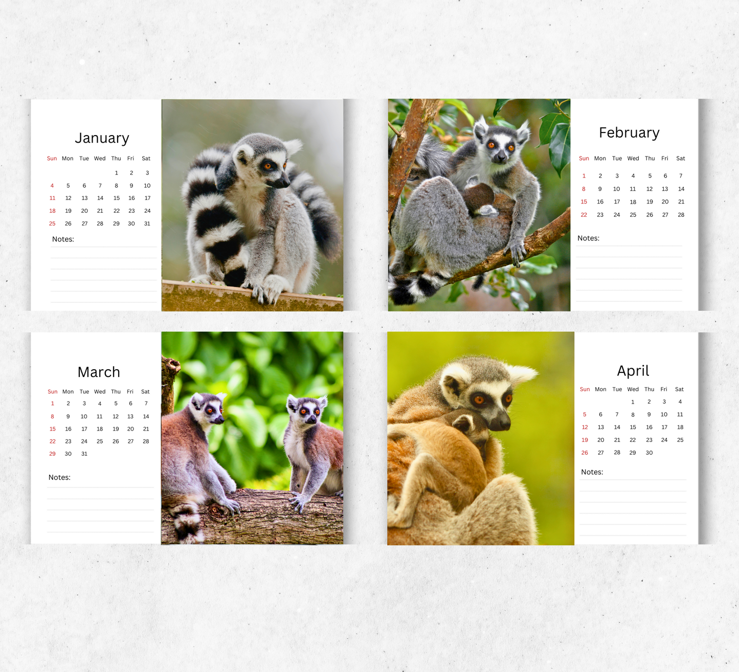 Lemur Desk Calendar 2026-2027