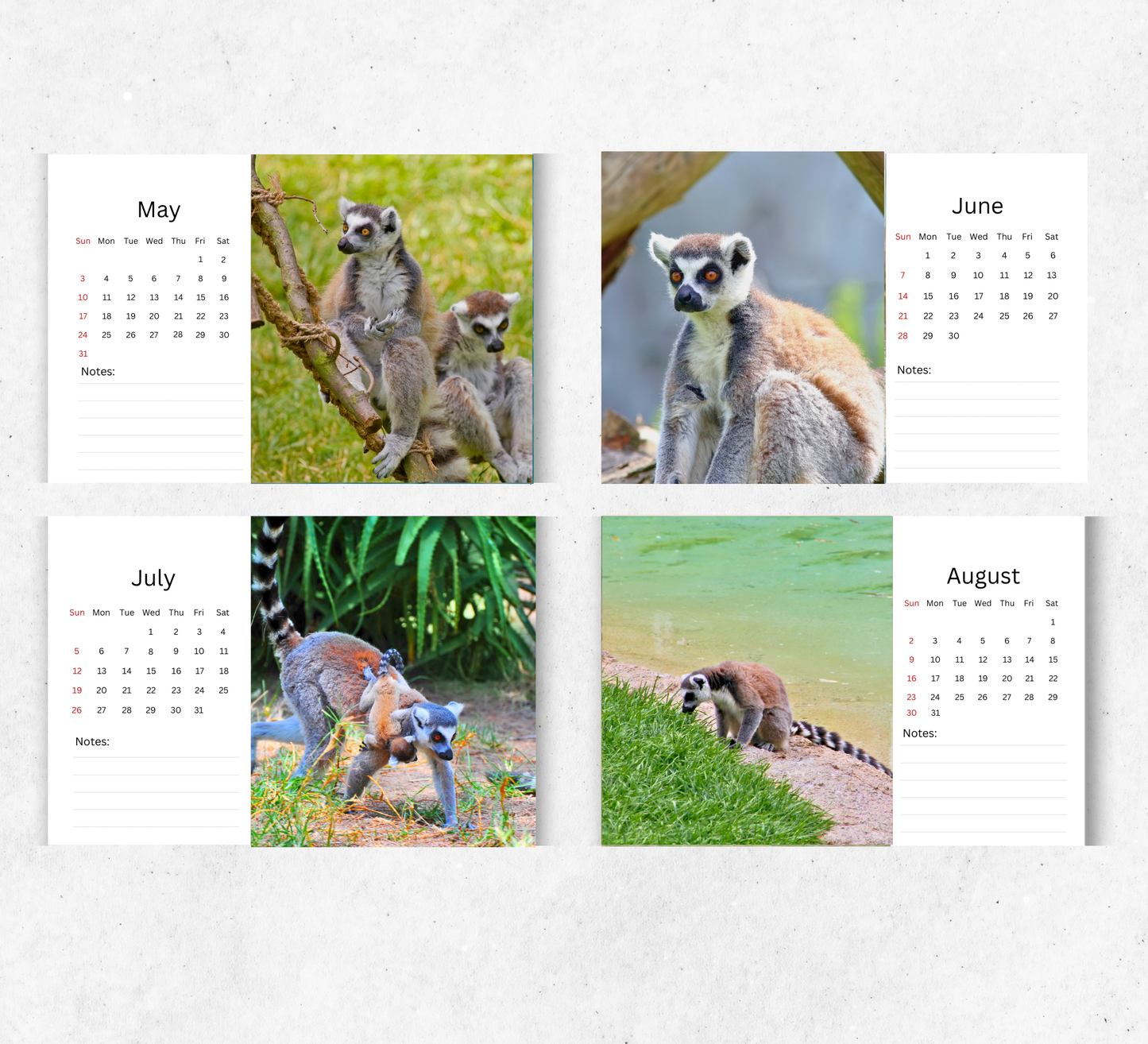 Lemur Desk Calendar 2026-2027
