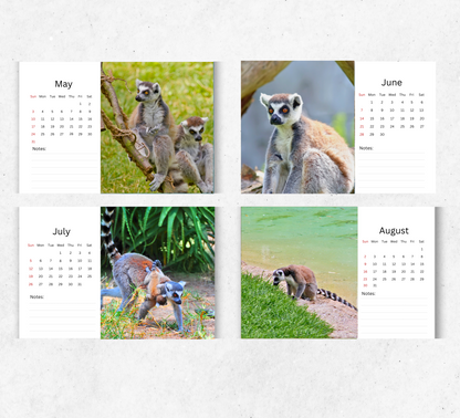 Lemur Desk Calendar 2026-2027