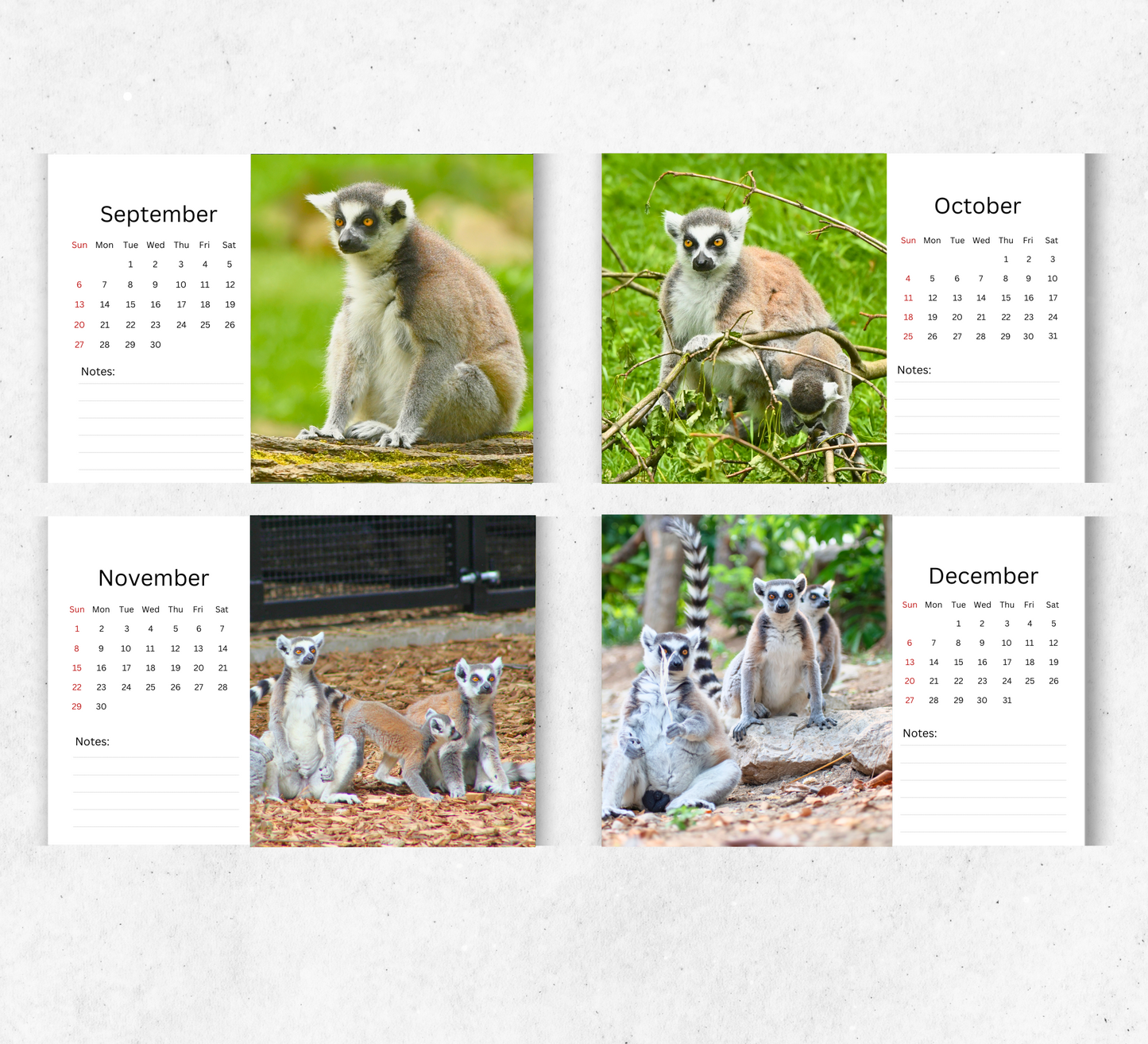 Lemur Desk Calendar 2026-2027