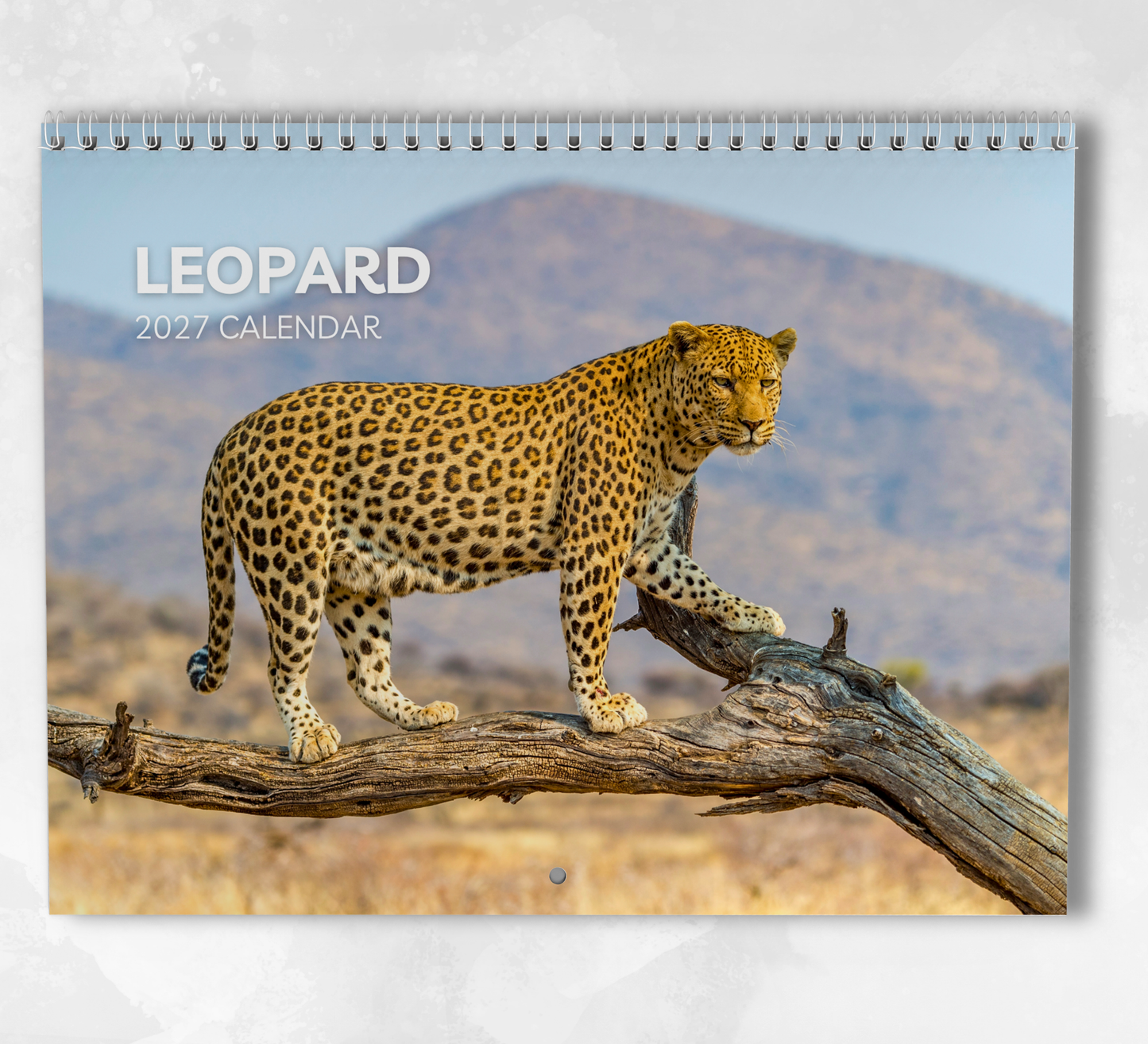 Leopard Calendar 2027