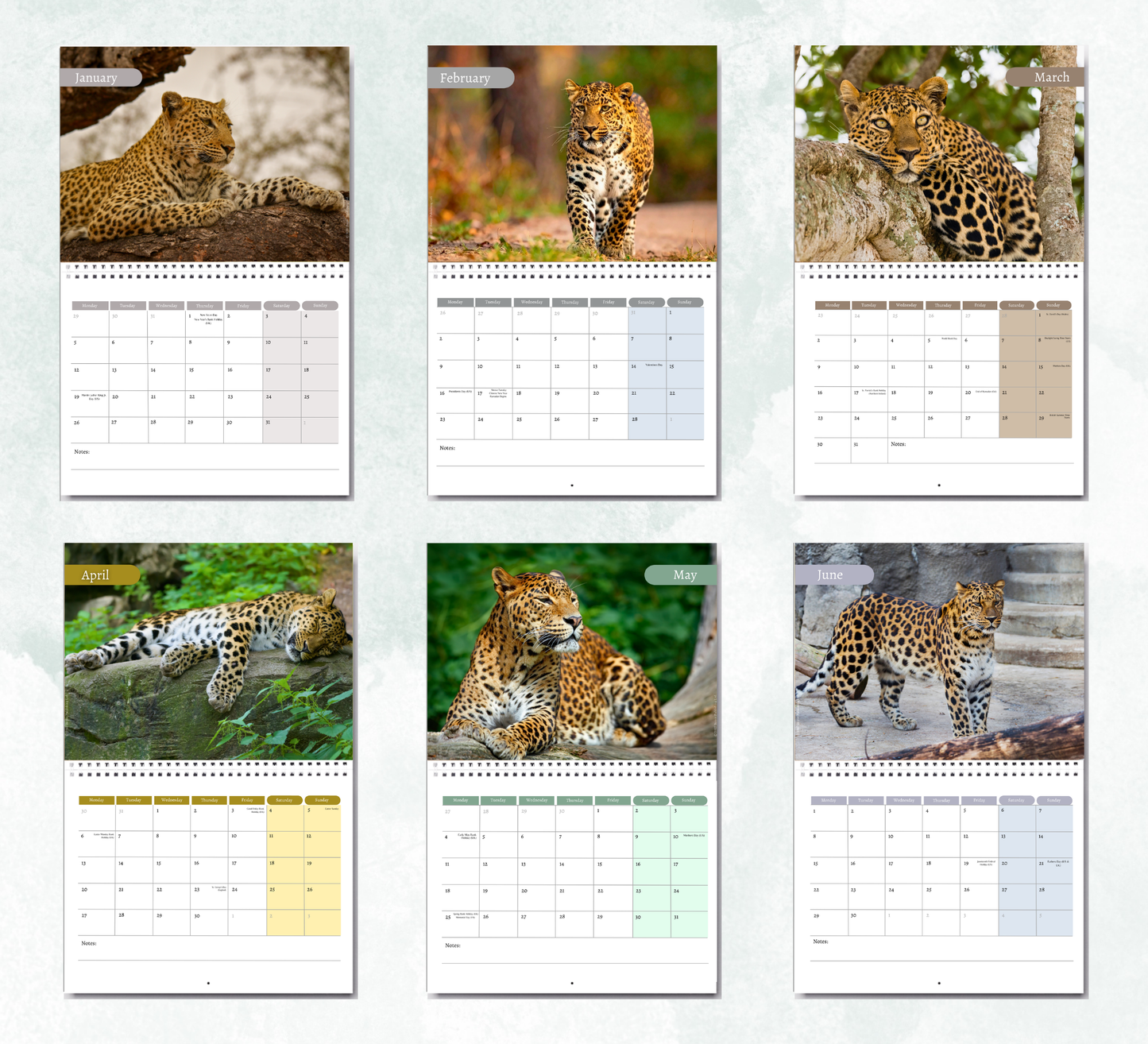 Leopard Calendar 2027