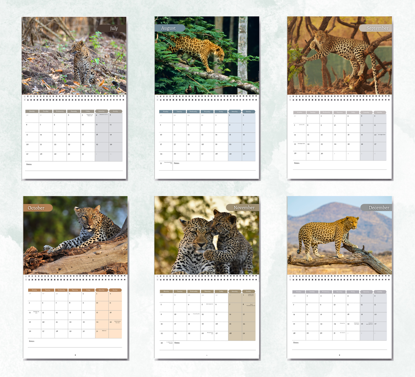 Leopard Calendar 2027