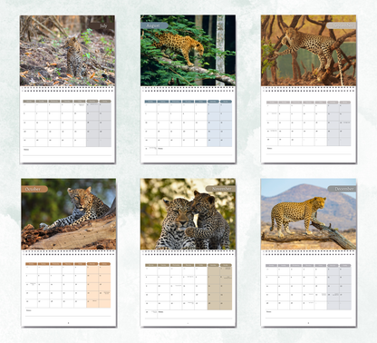 Leopard Calendar 2027
