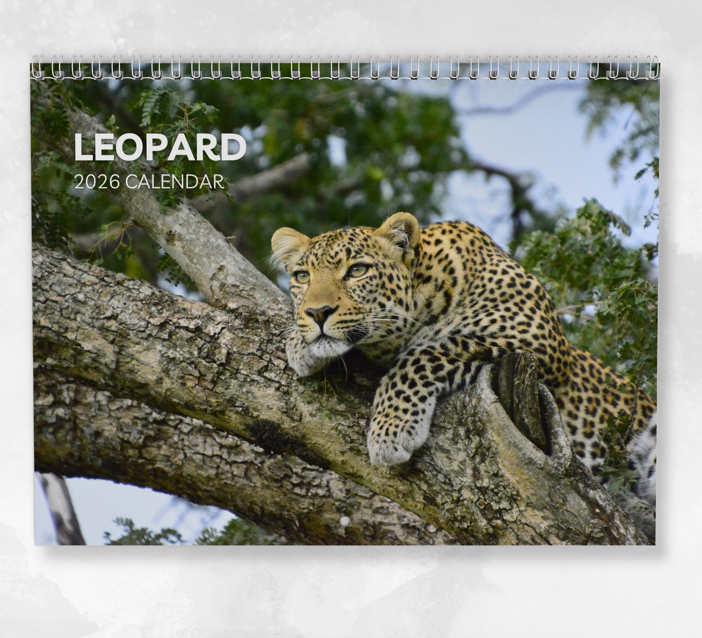 Leopard Calendar 2026