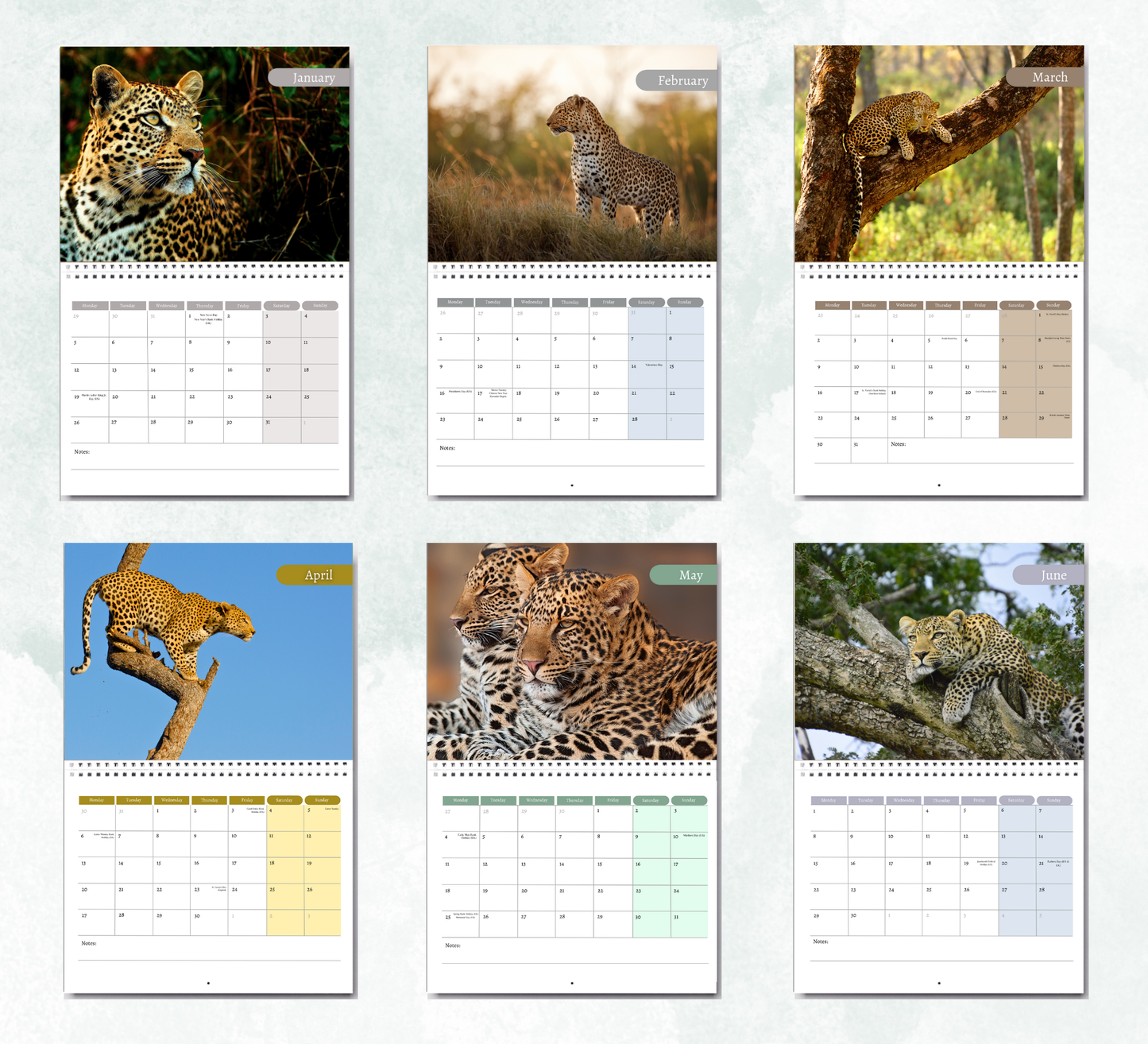 Leopard Calendar 2026