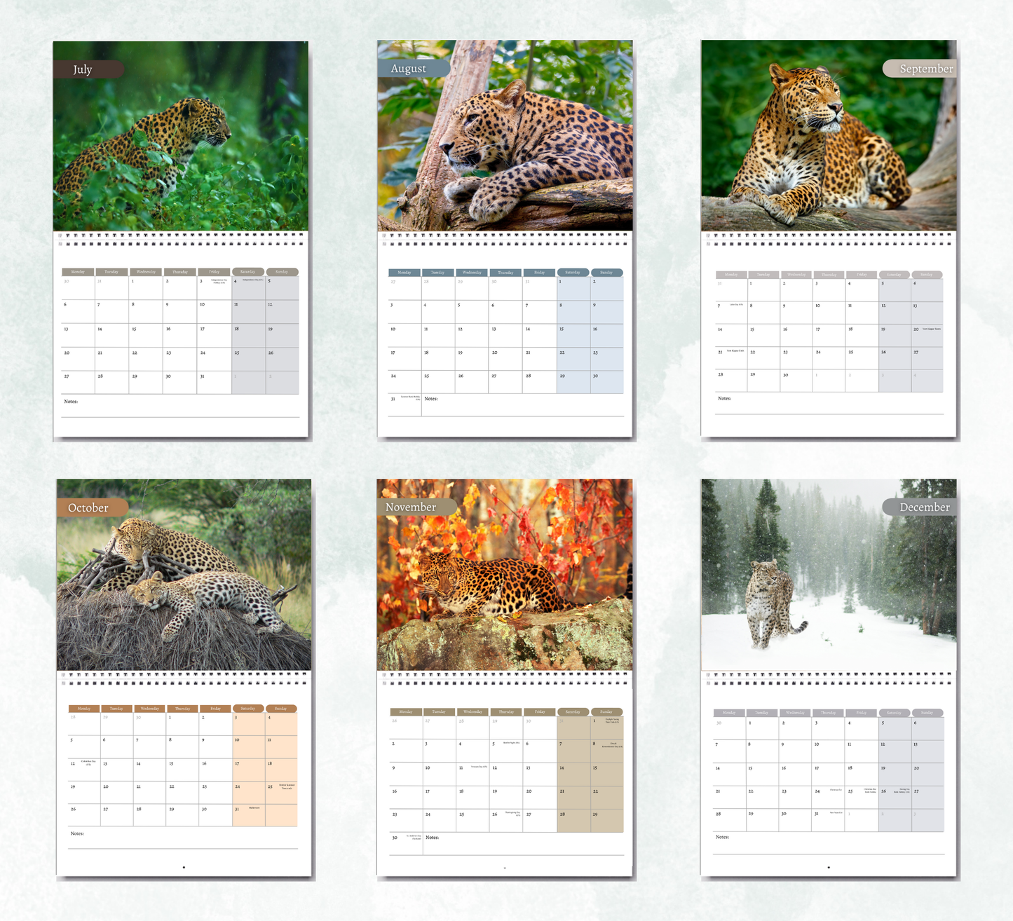 Leopard Calendar 2026