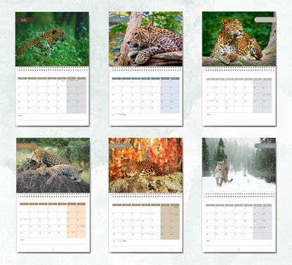 Leopard Calendar 2026