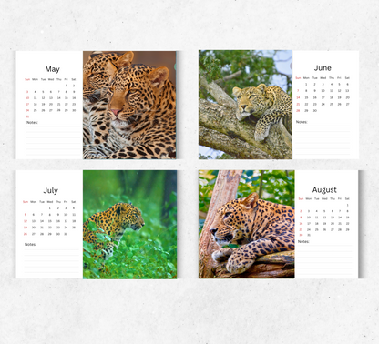 Leopard Desk Calendar 2026-2027