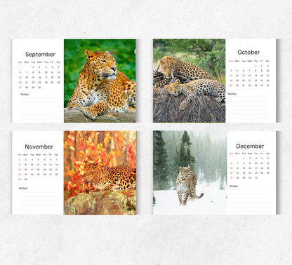 Leopard Desk Calendar 2026-2027