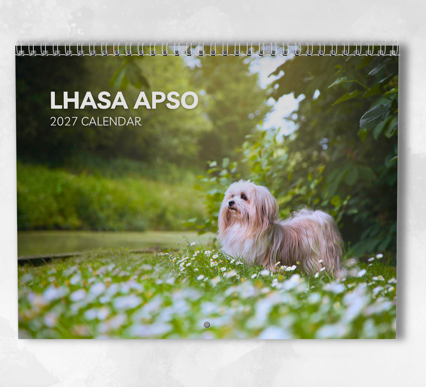 Lhasa Apso Calendar 2027