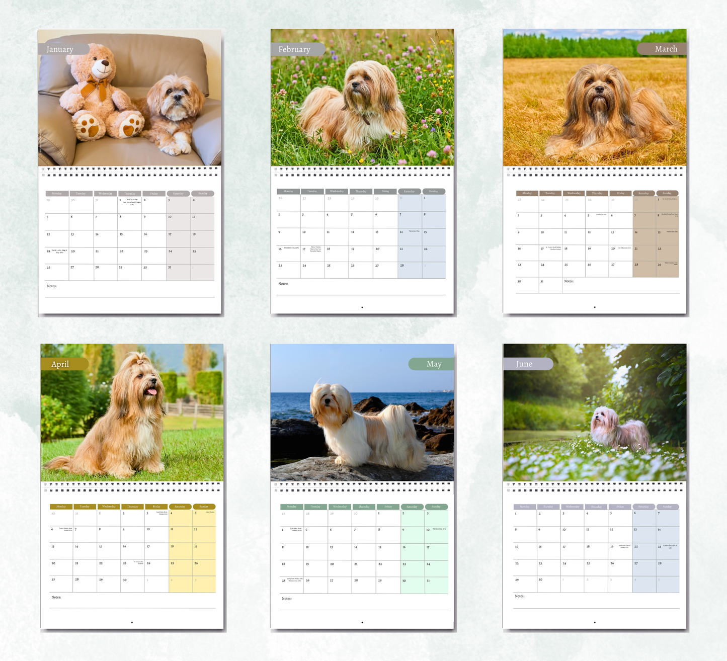 Lhasa Apso Calendar 2027