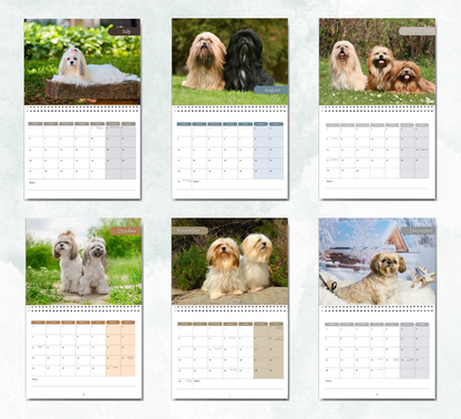 Lhasa Apso Calendar 2027
