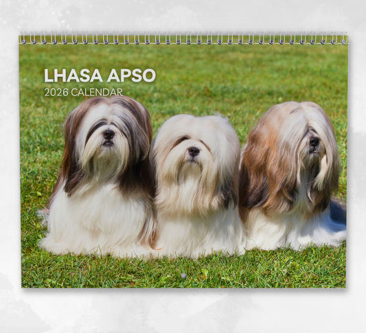 Lhasa Apso Calendar 2026