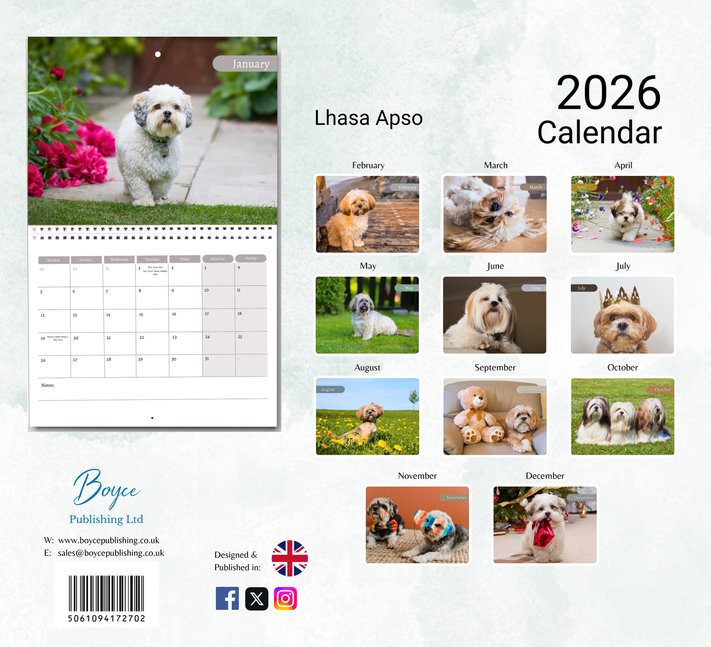 Lhasa Apso Calendar 2026