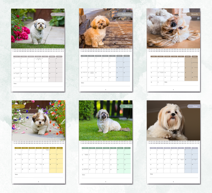 Lhasa Apso Calendar 2026