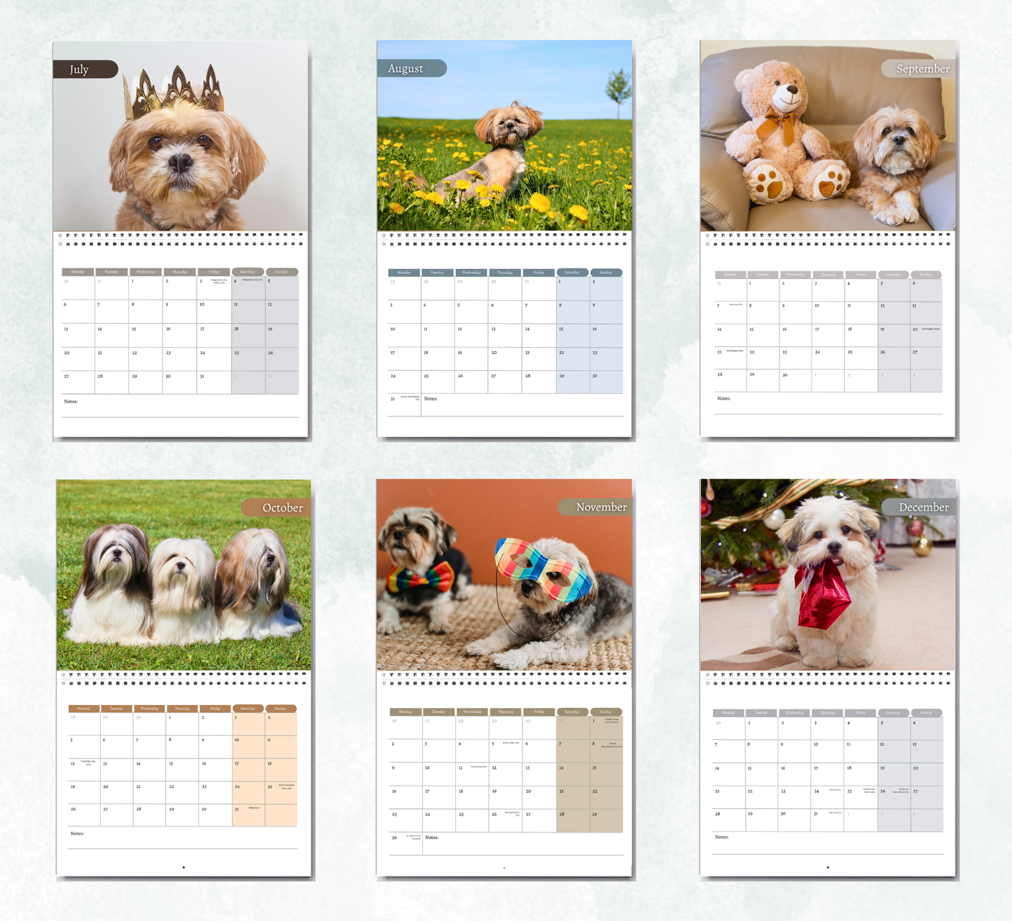 Lhasa Apso Calendar 2026