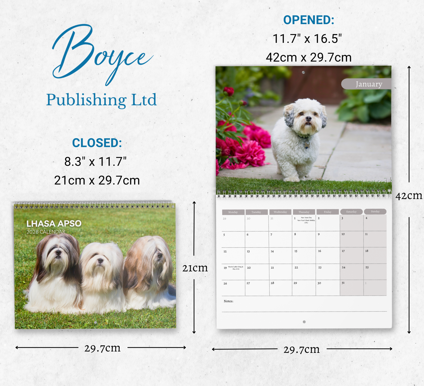 Lhasa Apso Calendar 2026