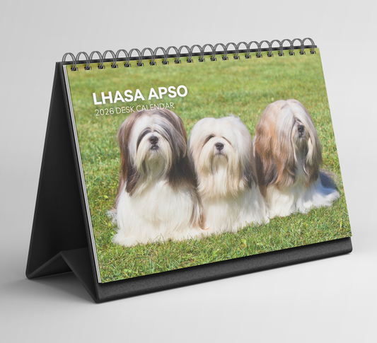 Lhasa Apso Desk Calendar 2026-2027