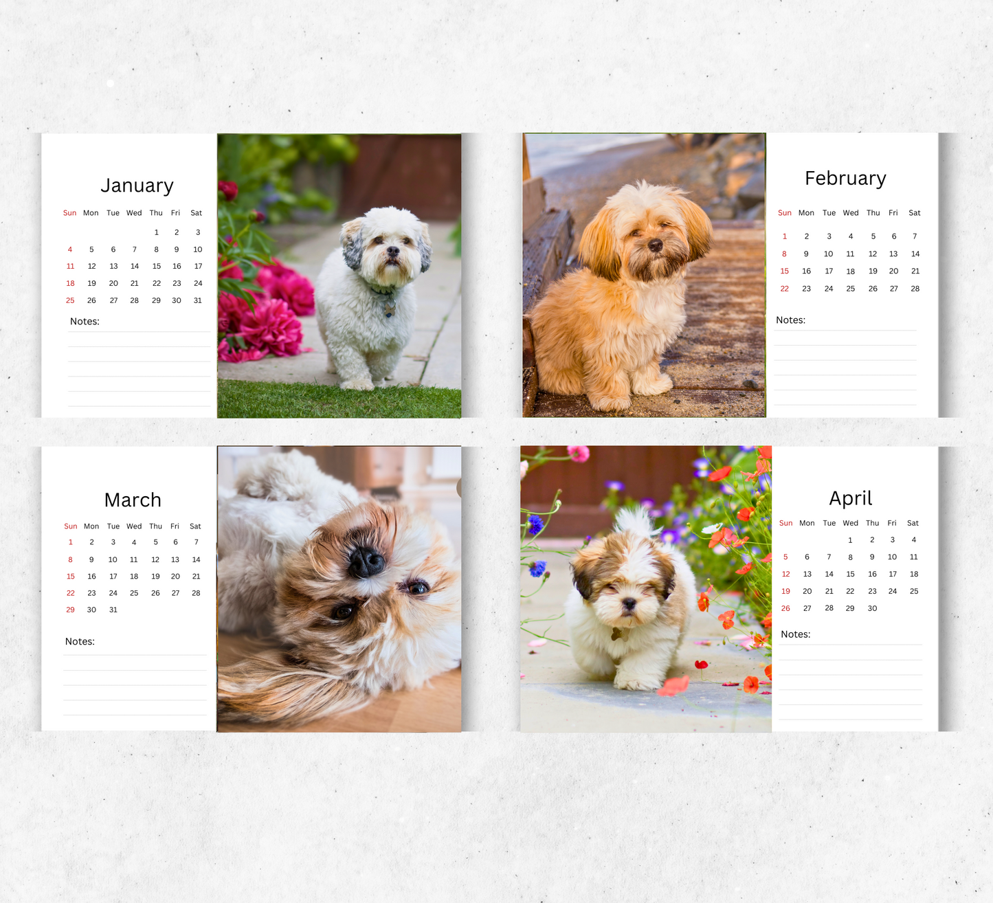 Lhasa Apso Desk Calendar 2026-2027