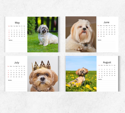 Lhasa Apso Desk Calendar 2026-2027