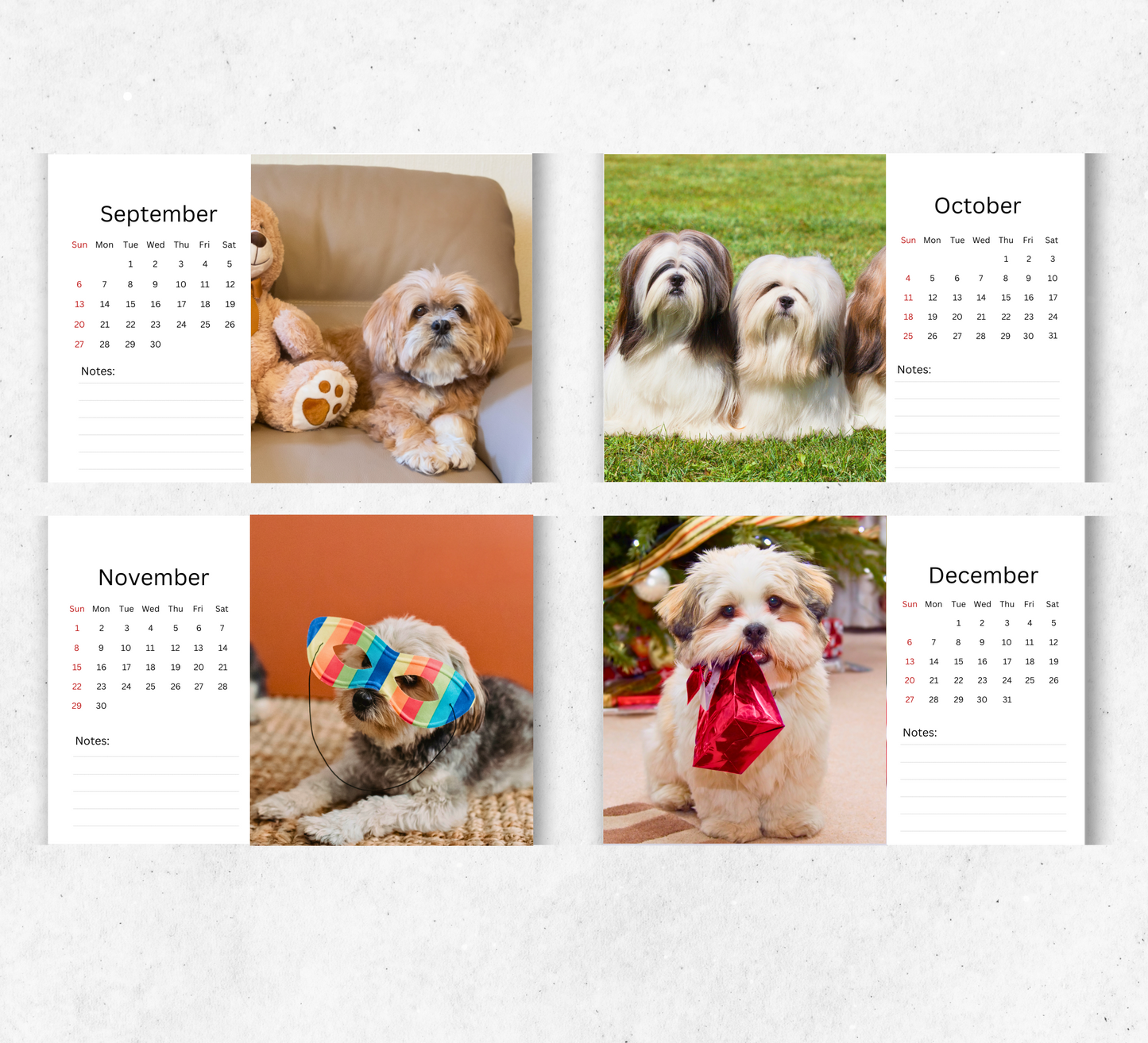 Lhasa Apso Desk Calendar 2026-2027