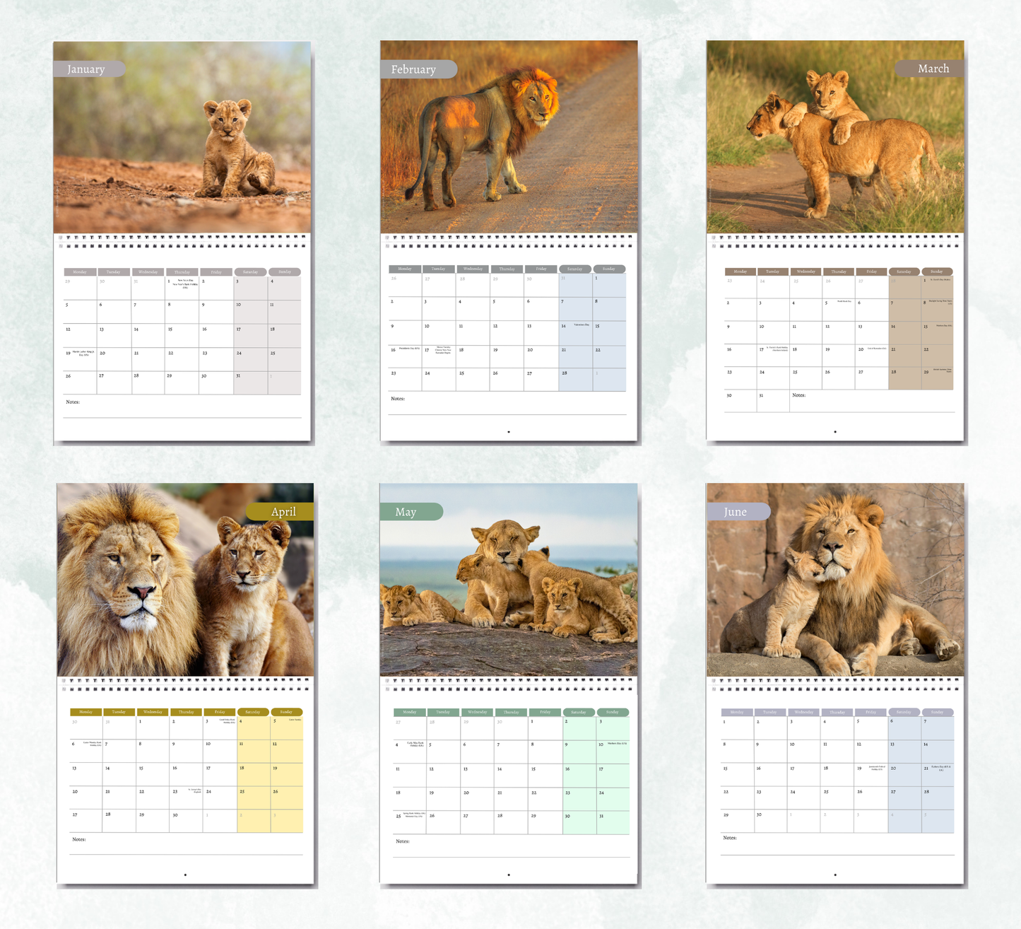 Lion Calendar 2027