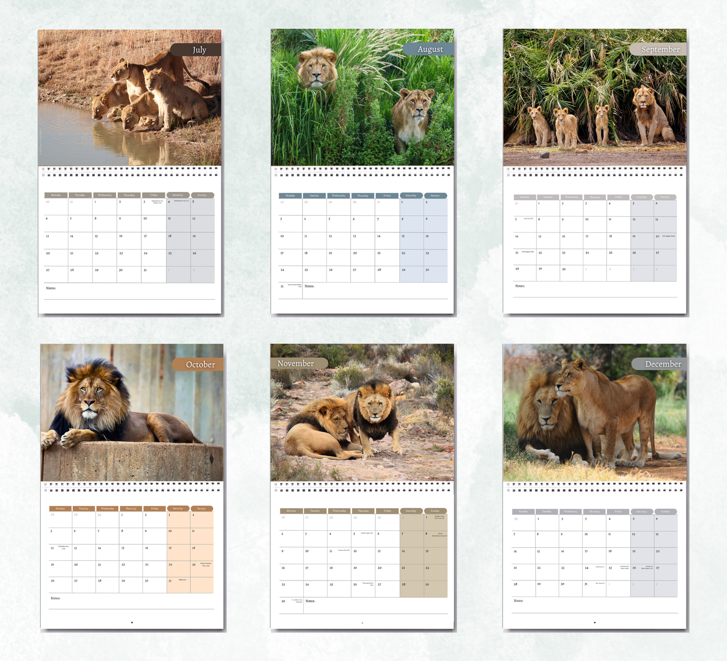 Lion Calendar 2027