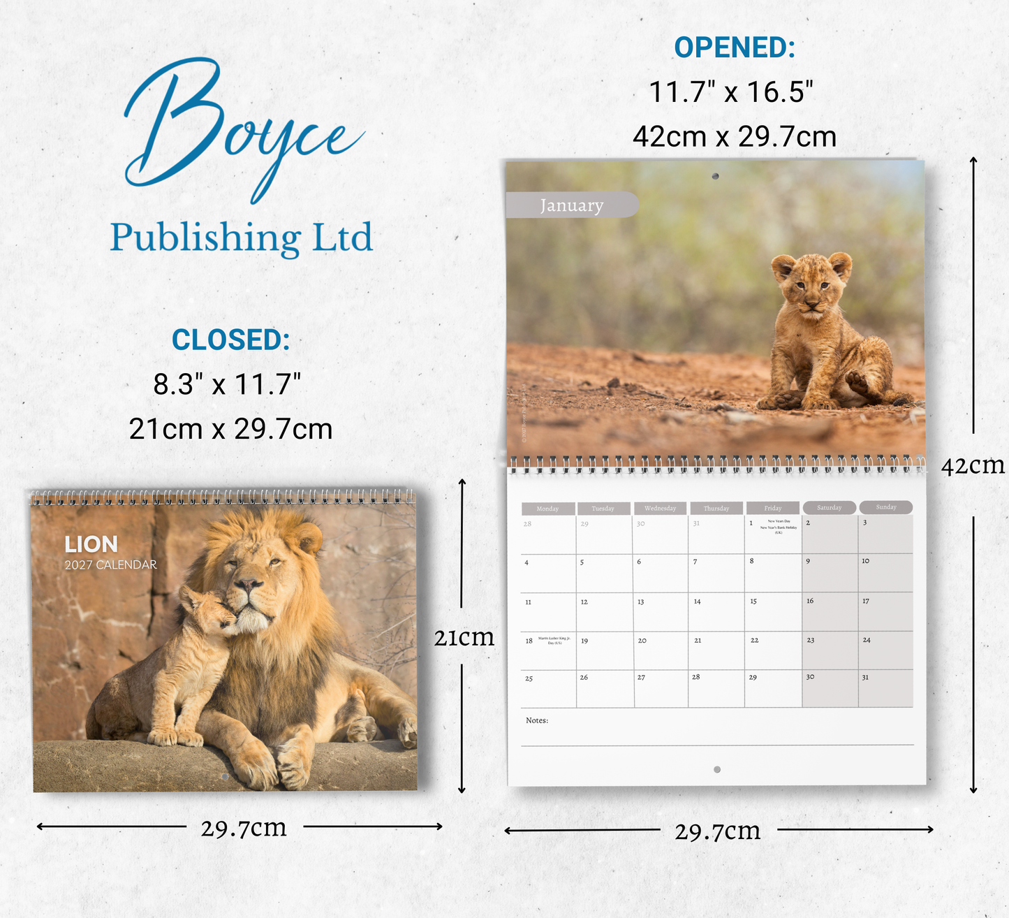 Lion Calendar 2027