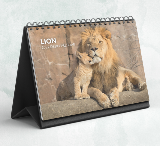 Lion Desk Calendar 2027-2028