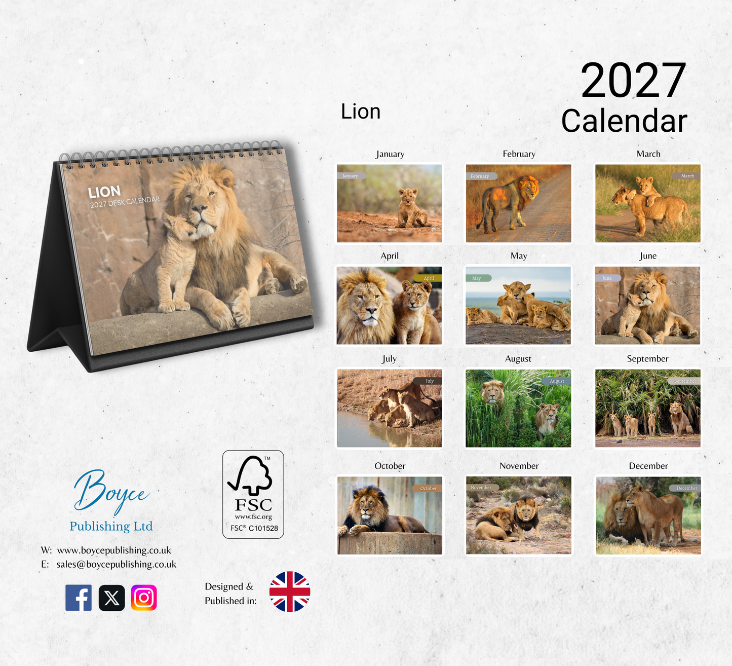 Lion Desk Calendar 2027-2028